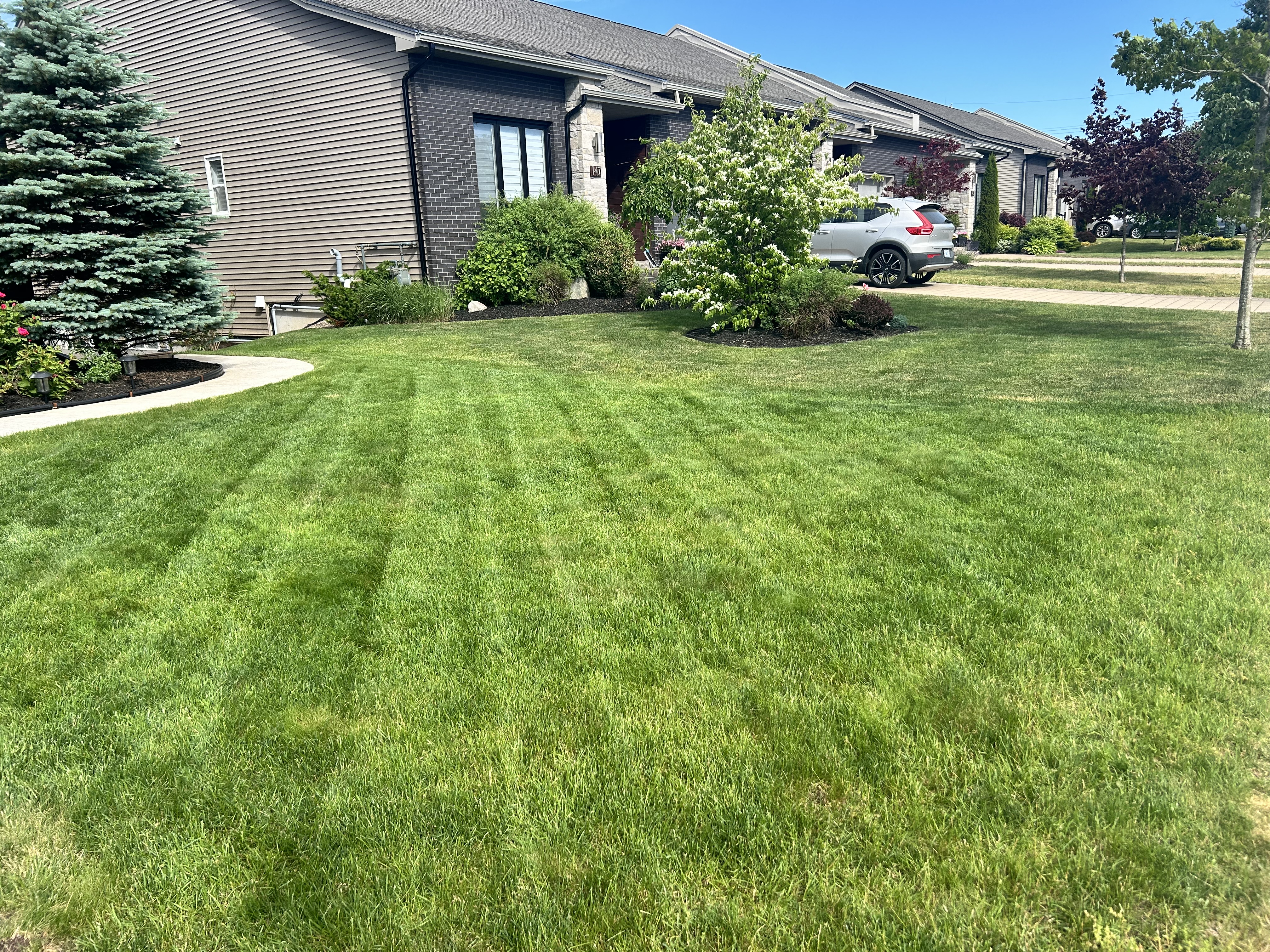 Beautifully striped freshly mowed front lawn with garden beds — lawn care by Dunbrack's Outdoor Services, Halifax NS